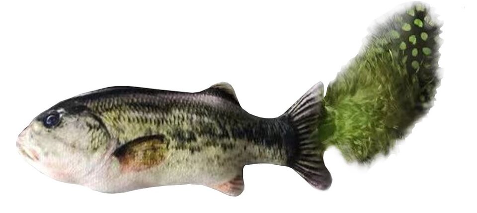 Blackbass.jpg