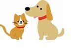 dog_cat.jpg
